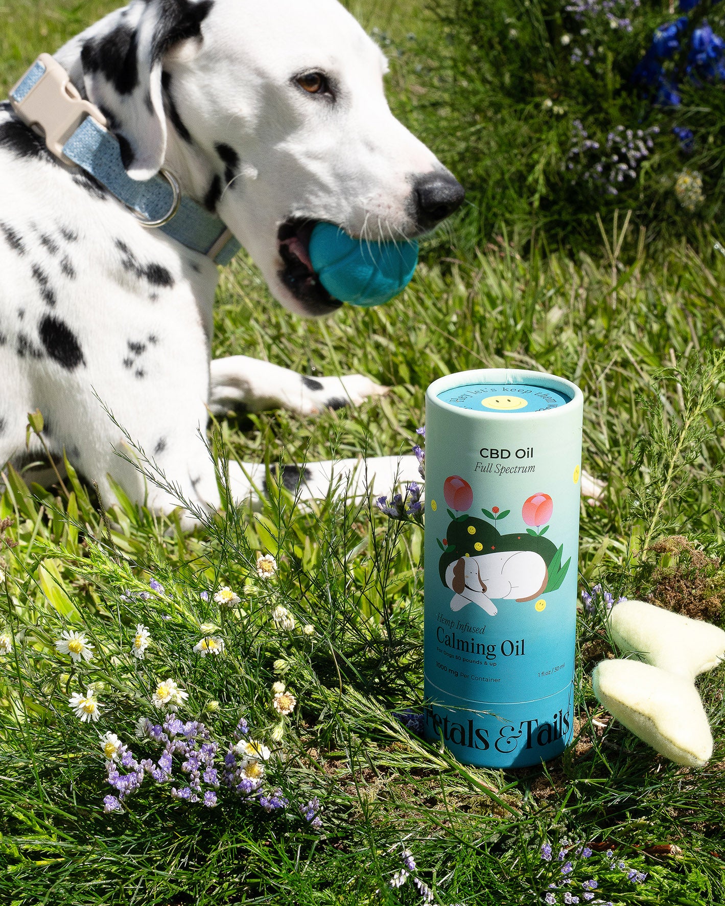 1000mg Calming CBD Oil - For Dogs 50lbs +