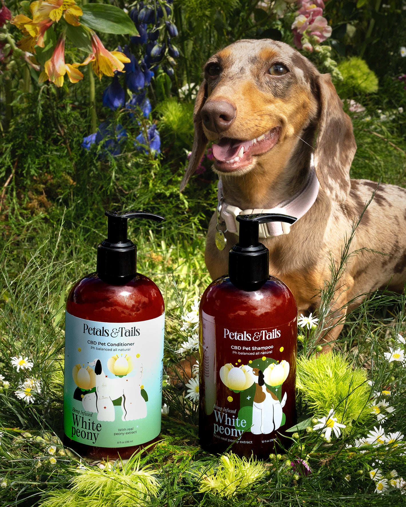 White Peony CBD Dog Conditioner - Now 50% Bigger!