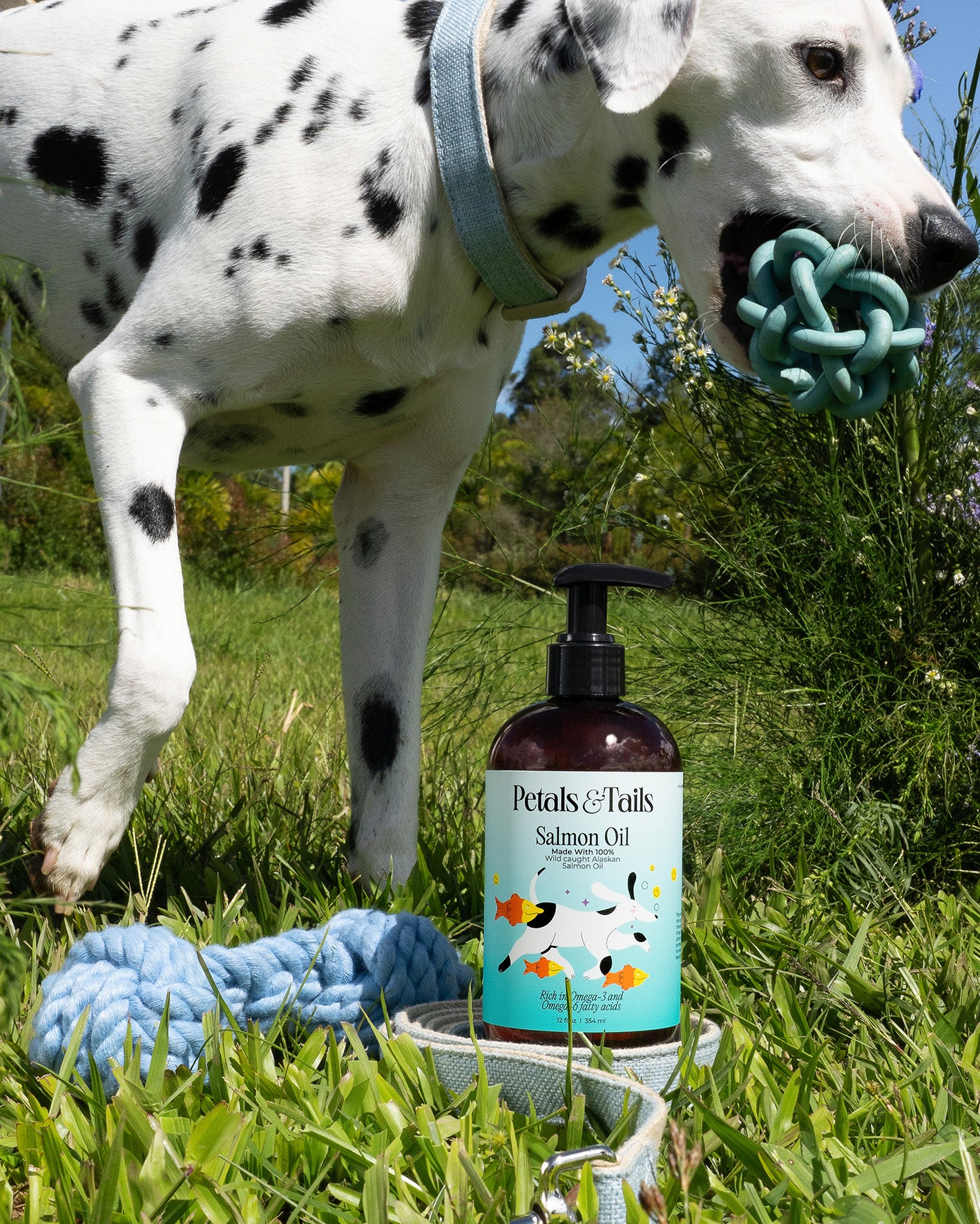 Wild Caught Alaskan Salmon Oil