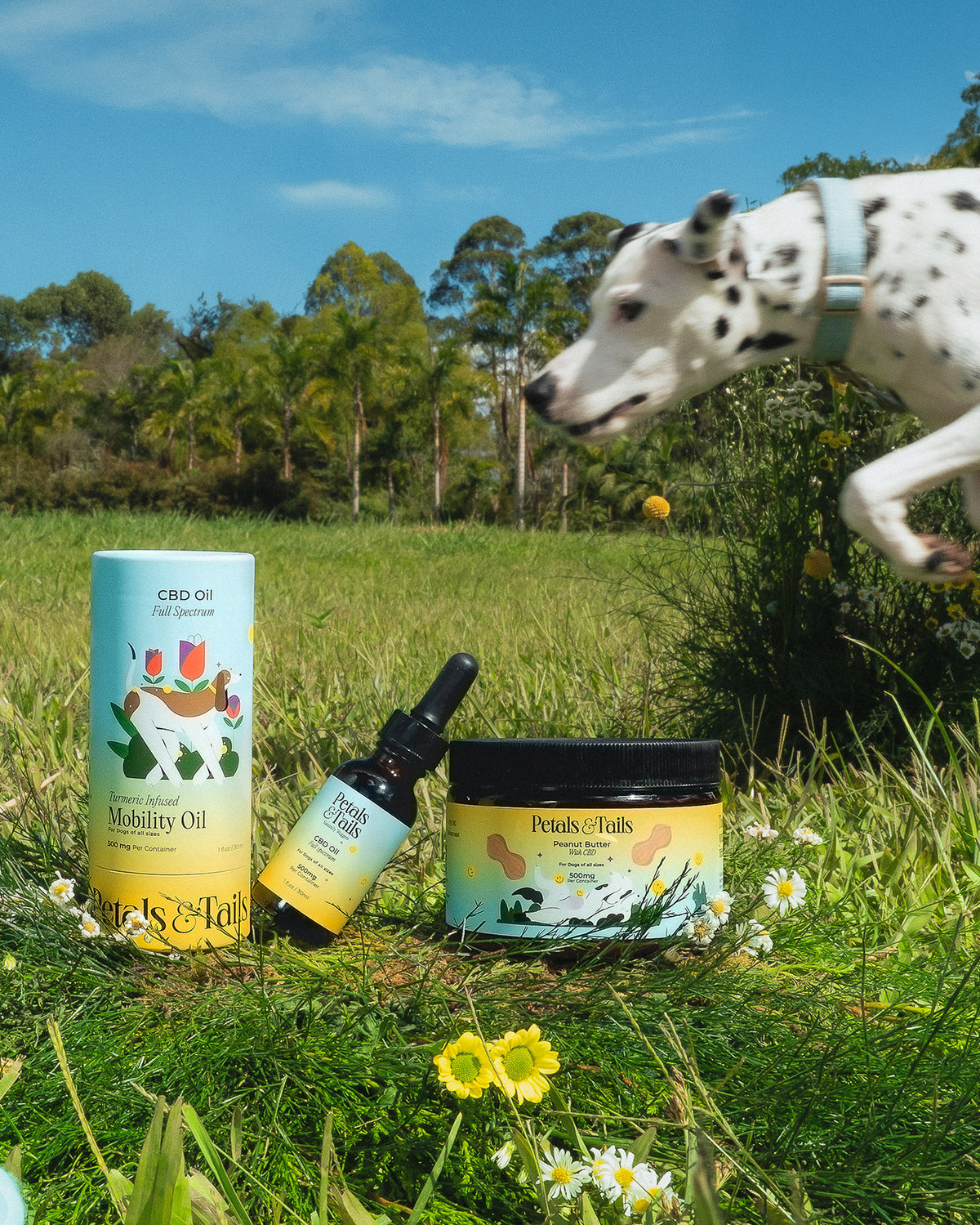 Mobility & Allergy CBD Oil With Turmeric - For Dogs Of All Sizes