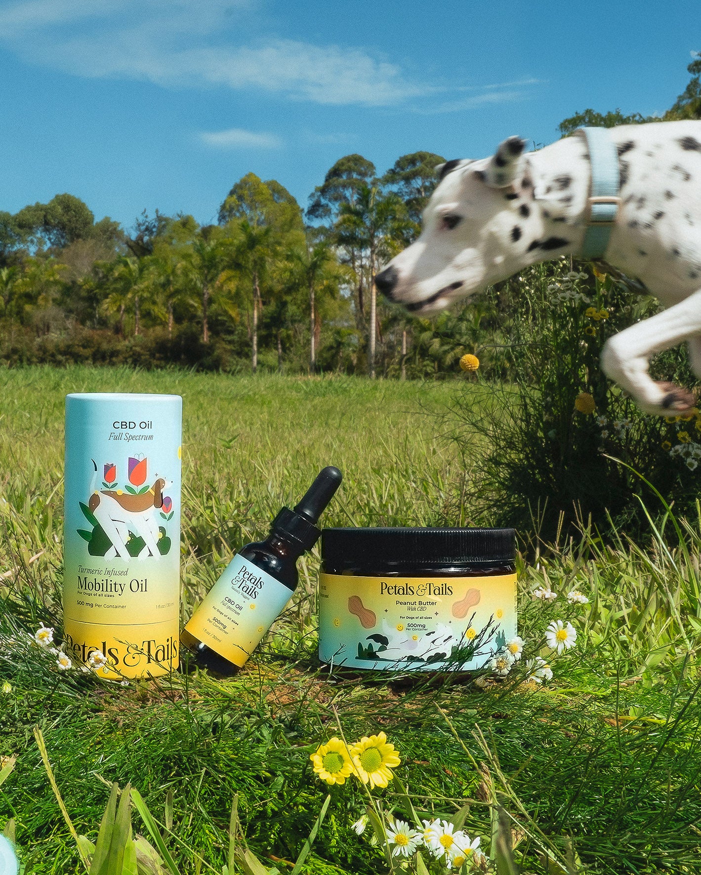 Mobility & Allergy CBD Oil With Turmeric - For Dogs Of All Sizes